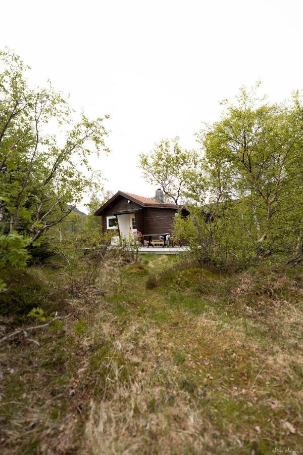 Villa Haugteig à Lyngværet Extérieur photo
